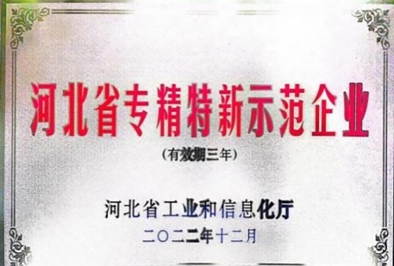 河北省專(zhuān)精特新示范企業(yè)